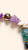 55804.png