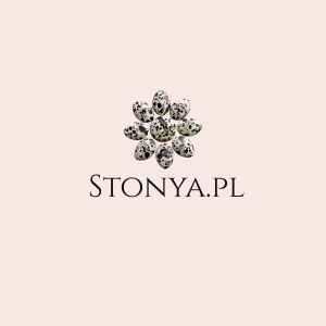 Logo Stonya - strona główna